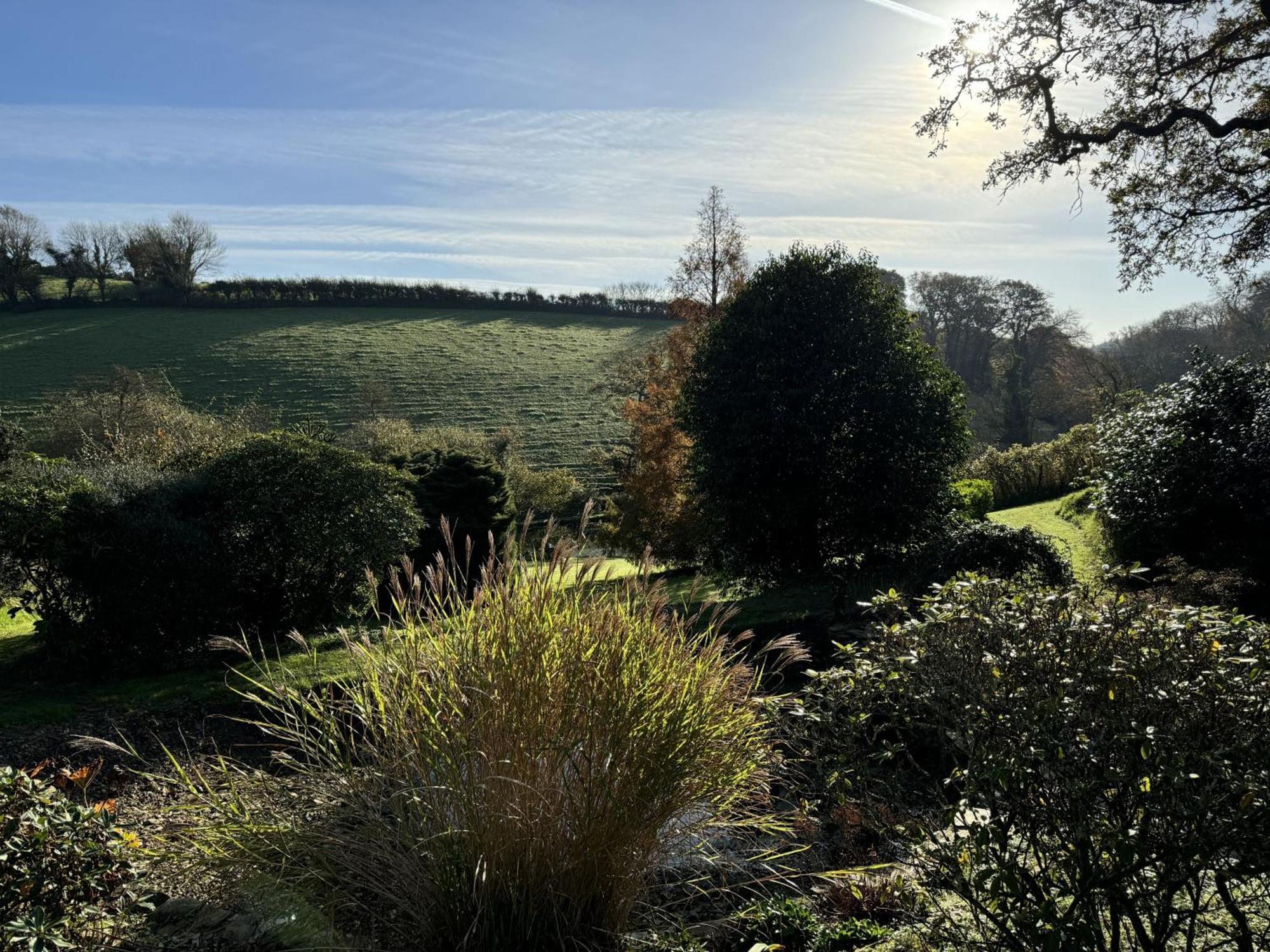 Greenswood - Cosy Cottage, Rural Location, Beautiful Landscaped Gardens With Pond And *