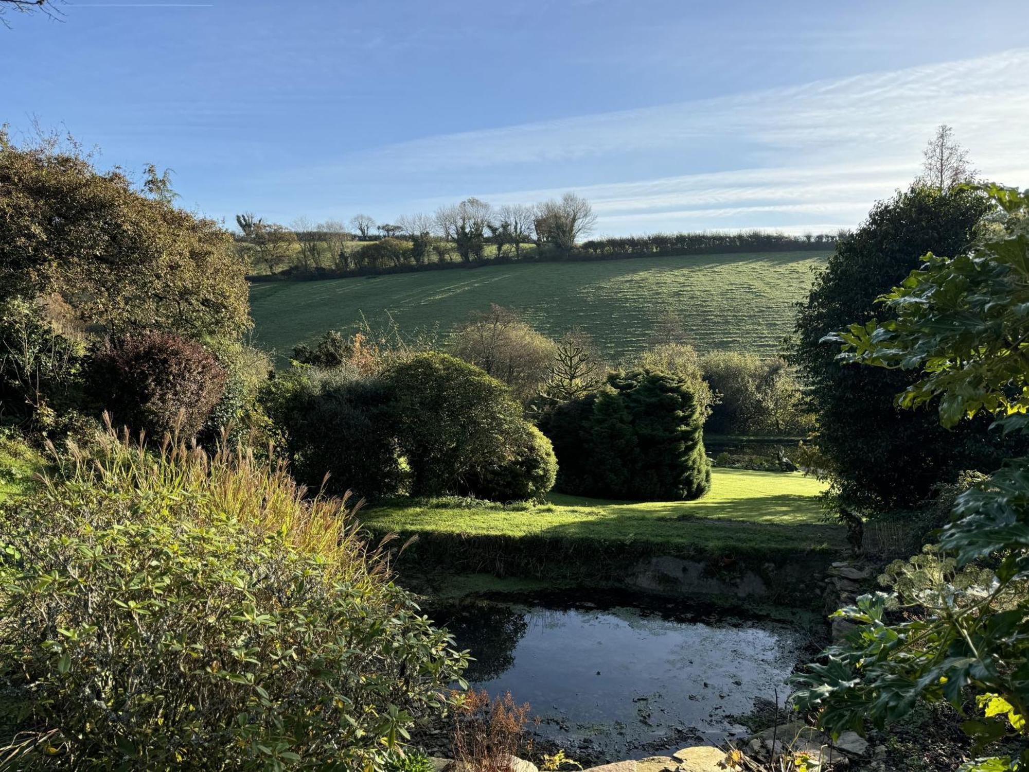Greenswood - Cosy Cottage, Rural Location, Beautiful Landscaped Gardens With Pond And *